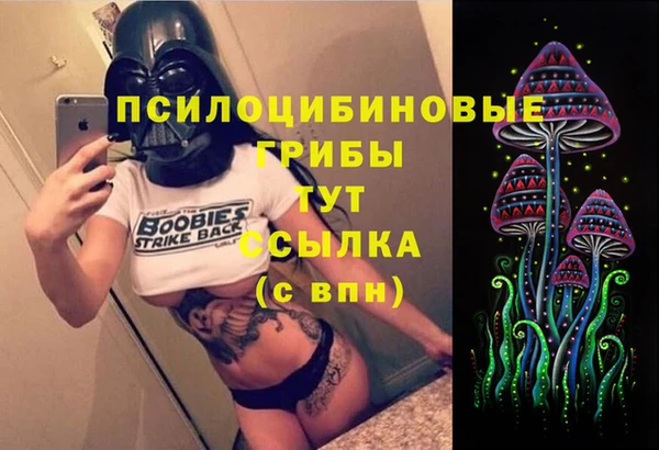МДПВ Алексин