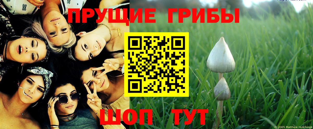 Псилоцибиновые грибы ЛСД Октябрьский