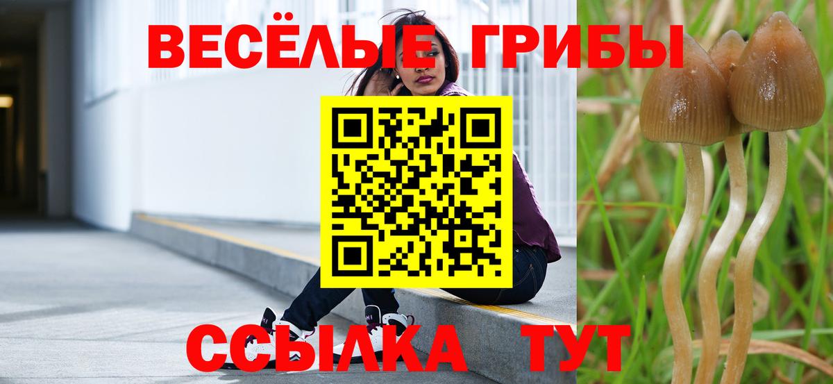 Псилоцибиновые грибы Psilocybe  Вход с VPN  Октябрьский  Галлюциногенные грибы MAGIC MUSHROOMS 